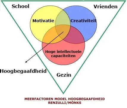 Afbeelding van het Triadisch Interdependentiemodel, dat is Mönks en Renzulli geïntegreerd.